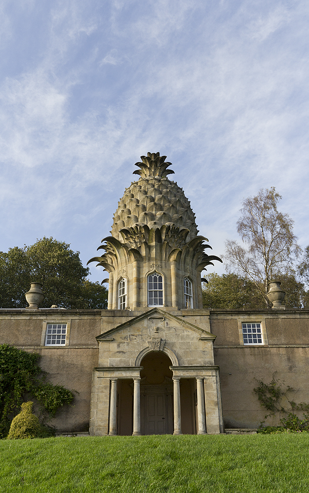 The Dunmore Pineapple