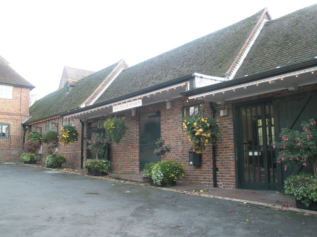 Dog collar museum